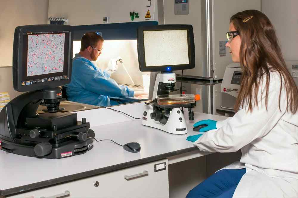 Photo de laborantins analysant l'hémoglobine