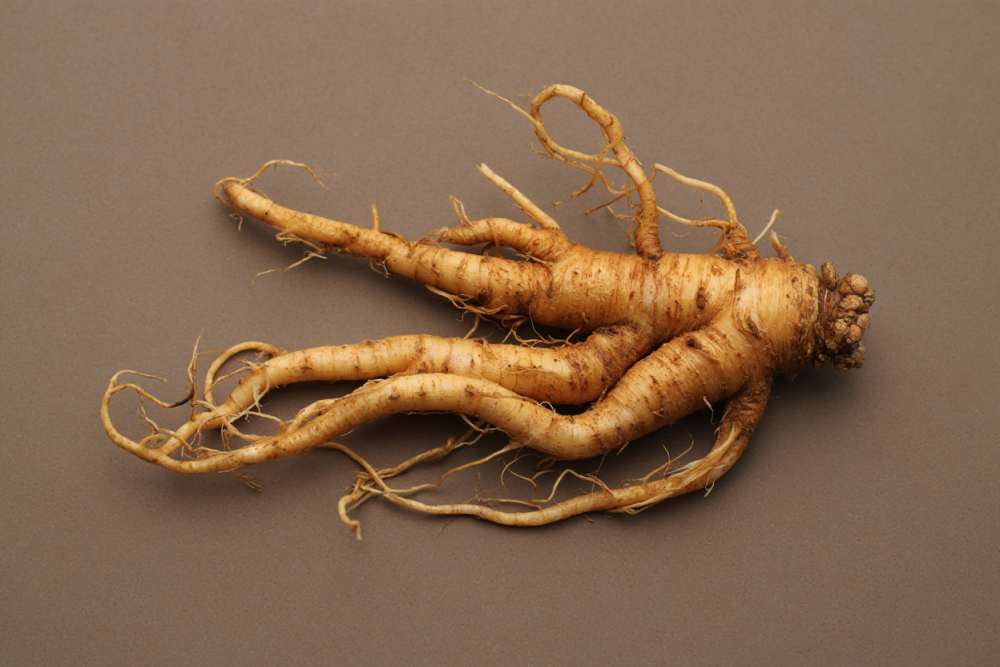 Photo du ginseng complément alimentaire pour faire baisser le cortisol