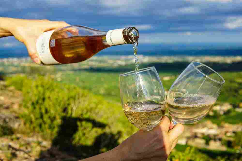 Verres de vin taux de gamma gt élevé d'un alcoolique