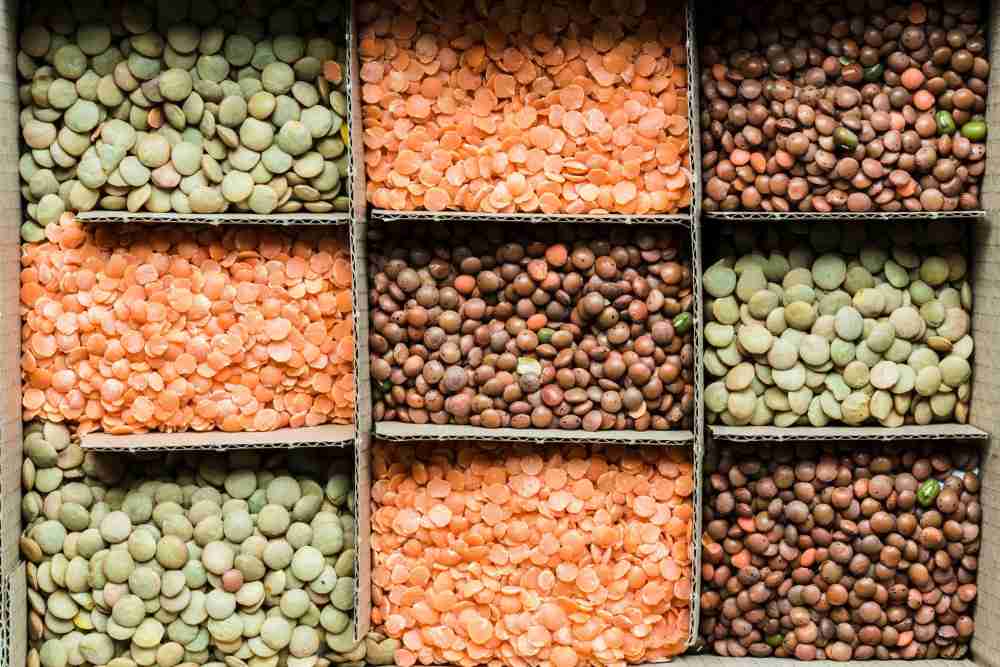 Diverses sortes de lentilles corail et vertes