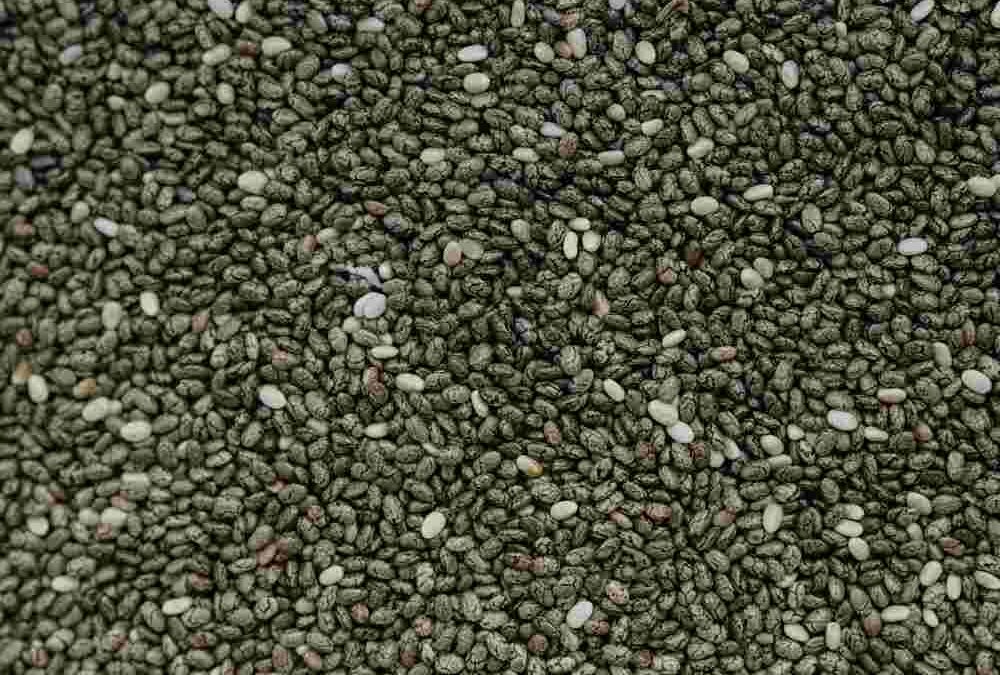 Graines de chia régime des diabétiques