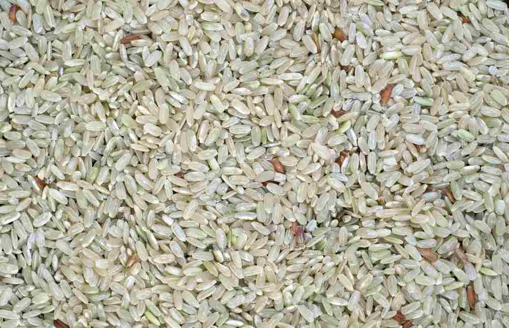 Aliment sans gluten riz blanc