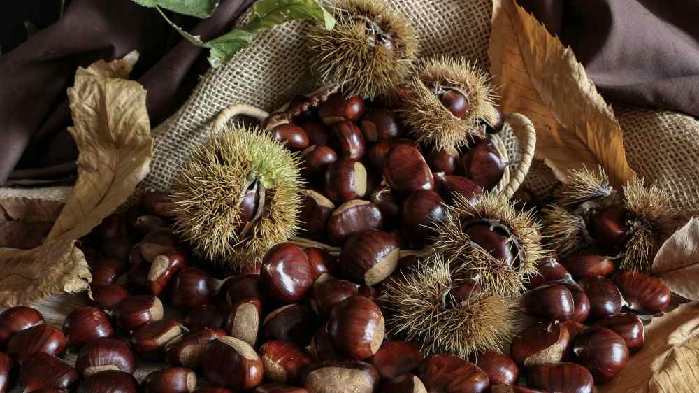 Liste des aliments sans gluten châtaignes