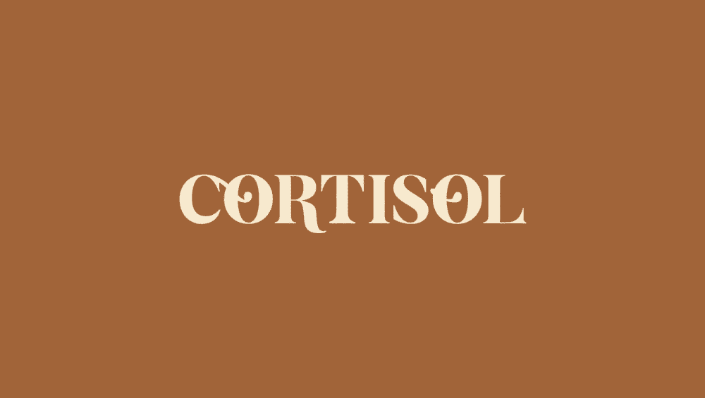 Cortisol et prise de poids problème hormonal
