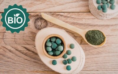 Compléments alimentaires bio : Le logo AB ne suffit pas !