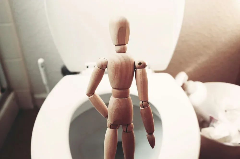 Miction urinaire : mannequin en bois posé sur une cuvette de toilettes.